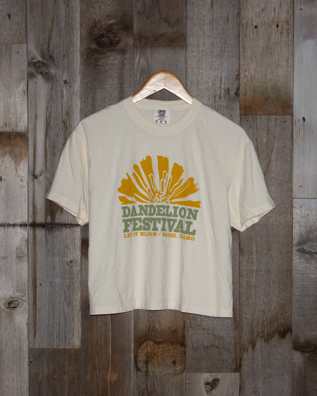 2026 Dandelion Festival Boxy Tee