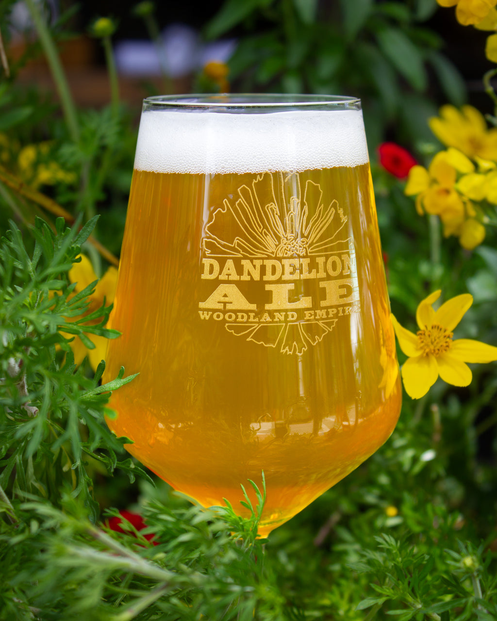 Dandelion Ale Harmony