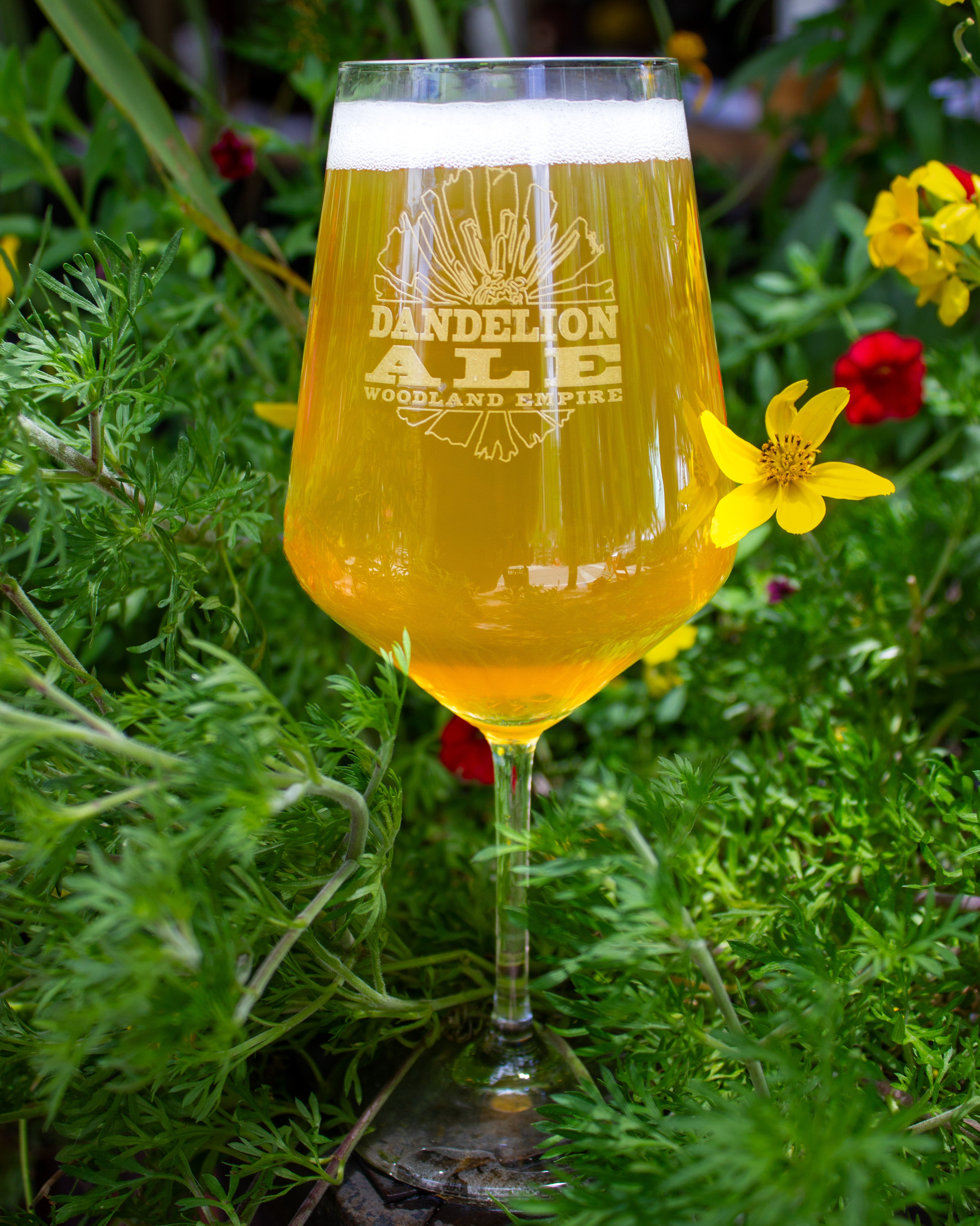 Dandelion Ale Harmony