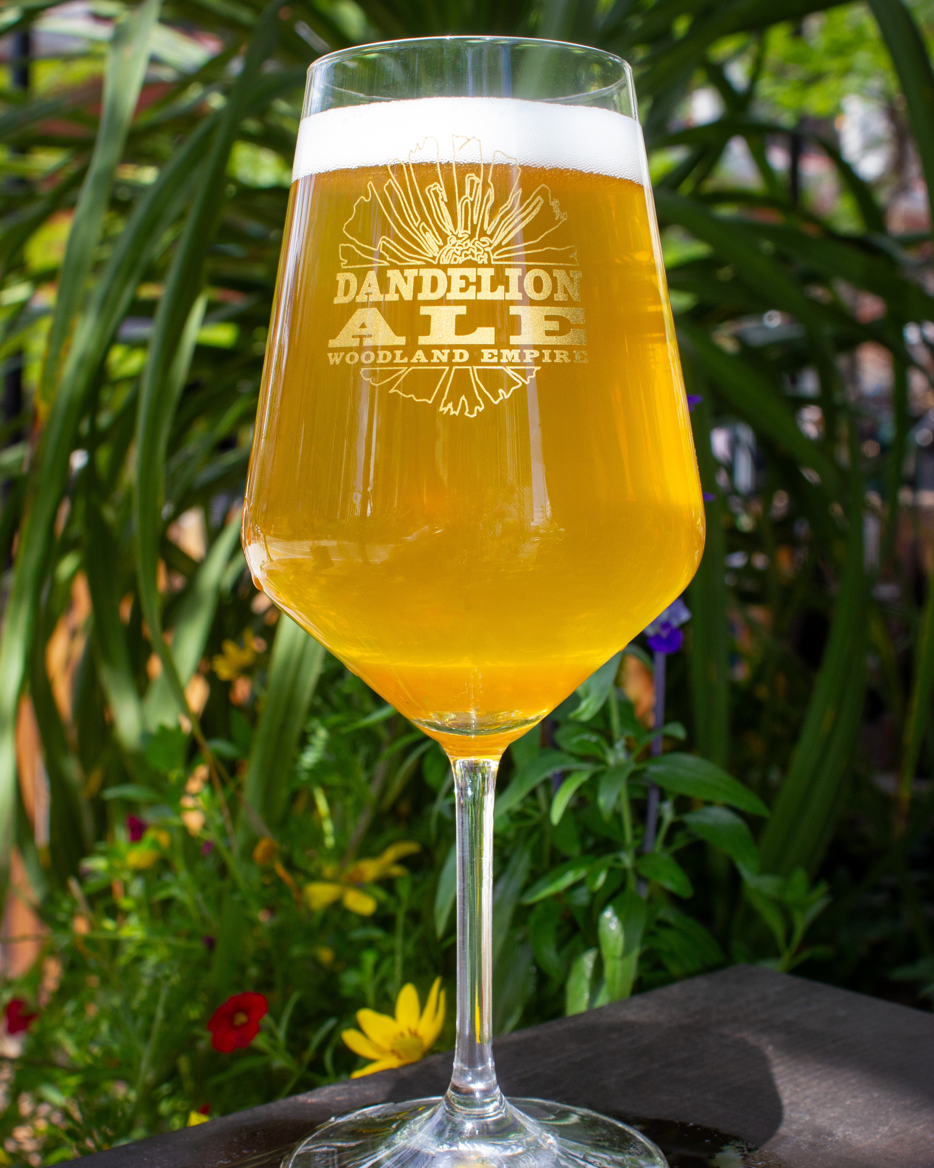 Dandelion Ale Harmony